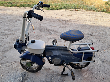 Motograziella carnielli