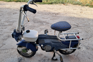 Motograziella carnielli