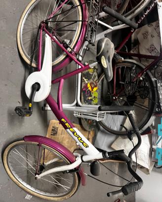 Bicicletta