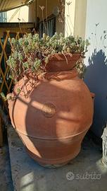Autentico Orcio Toscano in Terracotta d'Impruneta