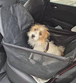 Wimypet Seggiolino auto per cani coprisedile tagli
