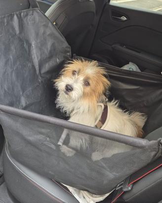Wimypet Seggiolino auto per cani coprisedile tagli