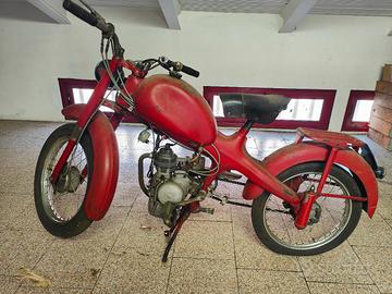 Ricambi per Motom 48 
