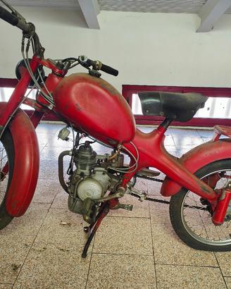 Ricambi per Motom 48 