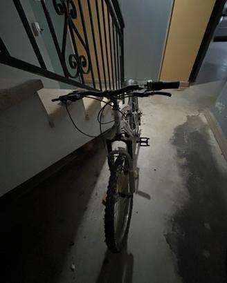 Mountain Bike Bi -ammortizzata Sport Bolt-Grigio