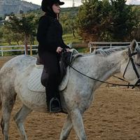 Pony 148 italiana