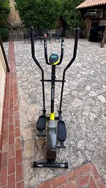 Cyclette ellitica diadora