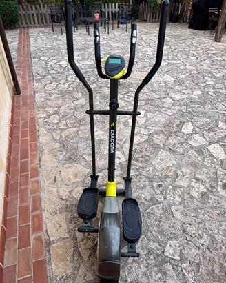 Cyclette ellitica diadora
