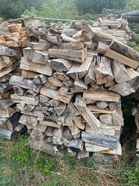 Legna da ardere quercia