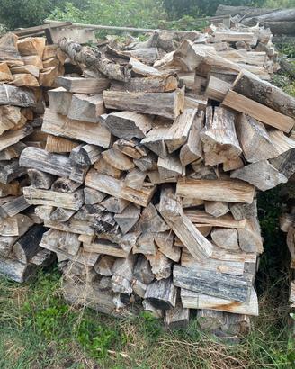 Legna da ardere quercia