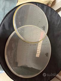 Remo pelli ambassador toms 12’’ e 16’’