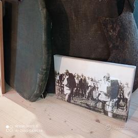 scudo Daigrè  ww1 repro museale