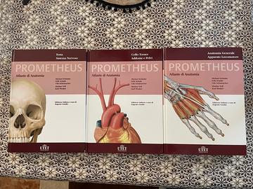 Prometheus Atlante di Anatomia – UTET 2007
