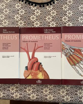 Prometheus Atlante di Anatomia – UTET 2007