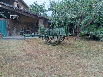 Carro agricolo ultracentenario originale