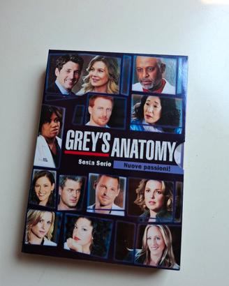 Grey's Anatomy - Stagione 6 DVD