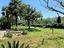 Immagine 19