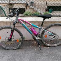 Bici MTB 27.5 Bambina Stevens