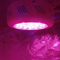 lampada LED per coltivazione 300w