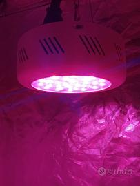 lampada LED per coltivazione 300w
