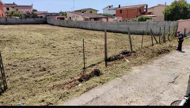 La gogna : TERRENO EDIFICABILE