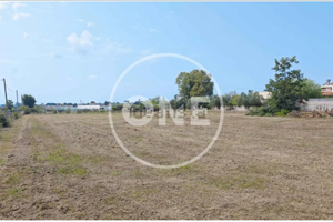 Terreno edificabile Via lago maggiore Nettuno