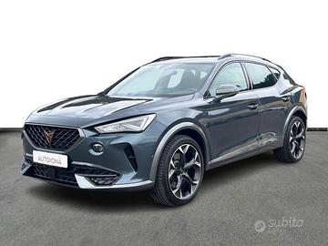 Cupra Formentor 2.0 tsi VZ 245cv dsg
