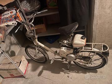 Graziella Bianchi a motore