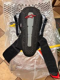 Paraschiena alpinestars