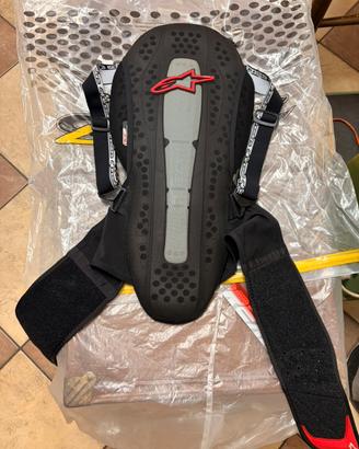 Paraschiena alpinestars