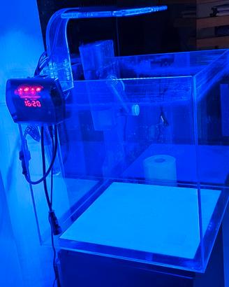 Acquario Nano-Reef cube dal 50 litri