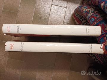 volumi sulla peinture flamande e allemande