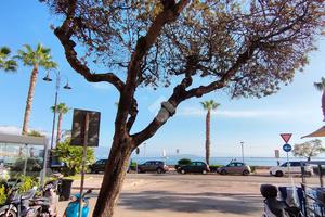 NEGOZIO A GAETA