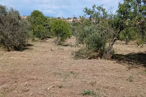 Terreno via degli imperatori (san leone)
