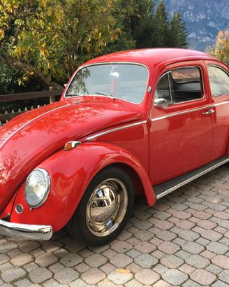 VOLKSWAGEN Maggiolino - 1964