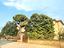 Immagine 25
