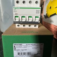 Schneider  Magnetotermico+ Differenziale