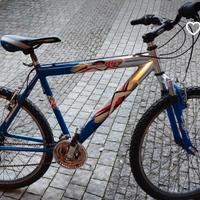 mtb ruote da 26