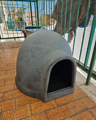 cuccia per cani