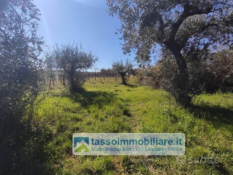 Rustico / Casale di 70 m² con 5 locali a Ortona - Altro