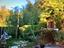 Immagine 29