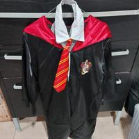 costume di Carnevale Hermione Harry Potter