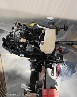 Mercury 5 cv sail Power 