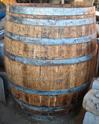 botte di 300 litri per vino 🍷 o per bellezza 