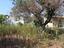Immagine 26