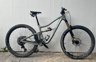 IBIS RIPMO Tg. L (E-SRAM Fox Kashima SLX)