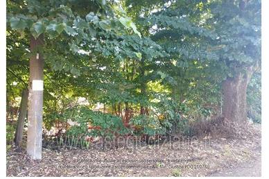 Terreno Agricolo Chignolo Po [A4324550]