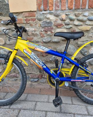 Bici bambino