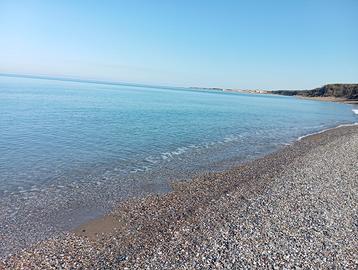 Dal 30 agosto.400 mt mare Animali ok