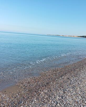 Dal 30 agosto.400 mt mare Animali ok